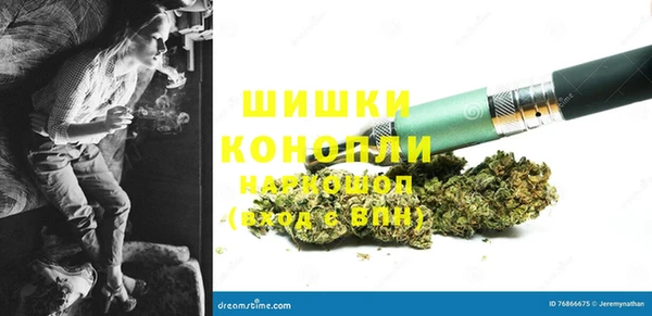 эйфоретик Алзамай