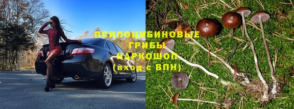 эйфоретик Алзамай