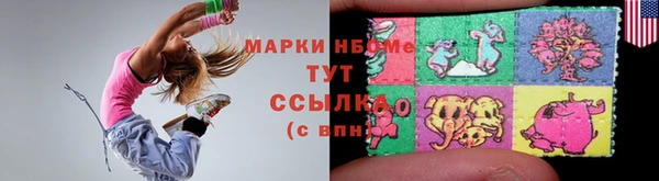 сатива Надым